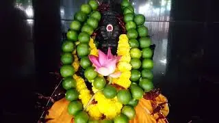Temple Project 1
