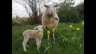 Farm life in February 2023