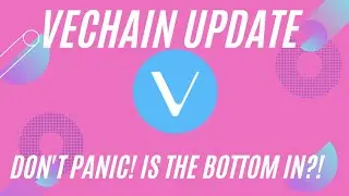 DON'T PANIC! IS THE BOTTOM IN?! || VET/VECHAIN UPDATE