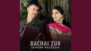 Bachai Zur