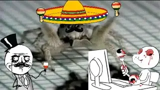 🐇Сосед паук НА 10 ЧАСОВ  (УЖАС!!!)🐇