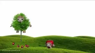 Apple Tree