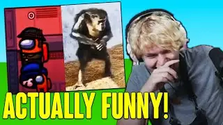 Among Us Memes are ACTUALLY Funny