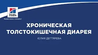 Вебинар на тему: «Хроническая толстокишечная диарея». Лектор – Юлия Дегтярева.