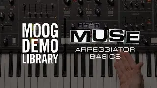 Muse | Arpeggiator Performance Basics