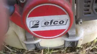 Efco 8460 bush cutter
