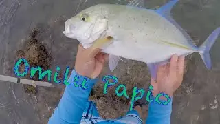 Fishing for Papio on the reef with live Oama!  | Hawaii Fishing