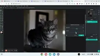 How to edit your photos in Pixlr Editor to prepare them for your project