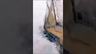 Рыбалочка на хапугу #Shorts
