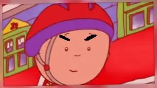 CAILLOU GOES WILD!