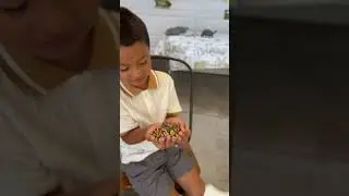 Ball Python Snake Reptiles Birthday!! #shorts #snake #kidsvideo #funny #kids