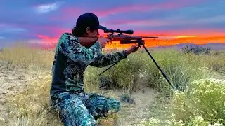 Utah Hunting Highlights!