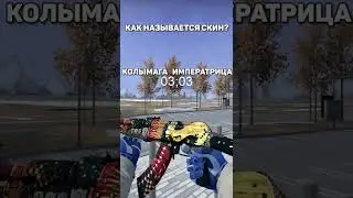 Угадай название скина в CS:GO