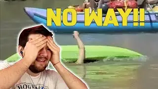 No Way Did He Do That.... | Reddit
