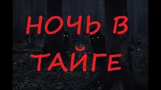 Ночь в тайге