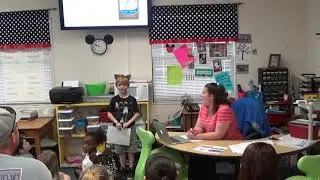 Nico's Siamese cat presentation