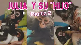 Julia y su  