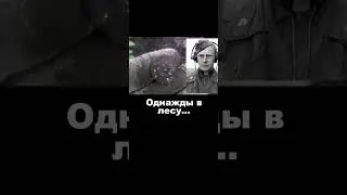 Однажды в лесу... Танкисты.  #shorts  #коп #metaldetecting #ww2 #лес