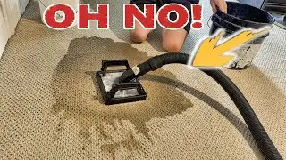 Two Other Cleaning Companies COULD NOT REMOVE THIS SPOT!! Carpet cleaning water claw extraction!