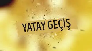 Üniversiteler arası geçiş yapabilirmiyim? Yatay geçiş nedir?