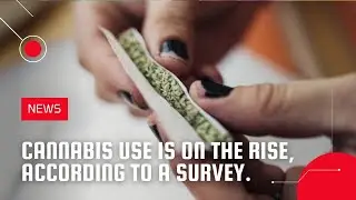 Cannabis use is on the rise, according to a survey.