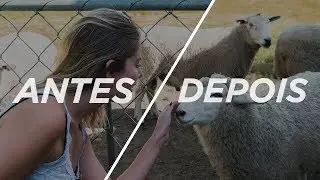 TUTORIAL | COMO APAGAR PESSOAS E OBJETOS DE SUAS FOTOS