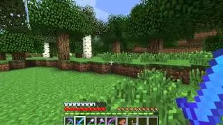 MinecraftCo-op#1