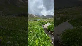 Colorado Summer Wildflowers and Lake