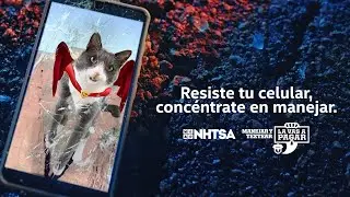 Meme del Gato Portavoz |:06