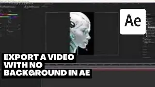 How to Export Video with Transparent Background in After Effects