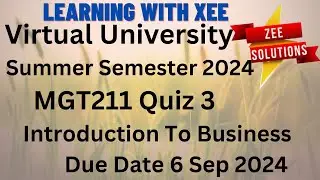 MGT211 Introduction To Business Quiz 3 Summer 2024 Virtual University of Pakistan