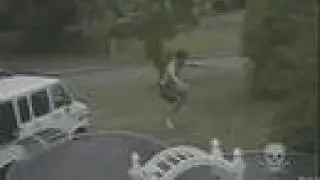 Jackass
