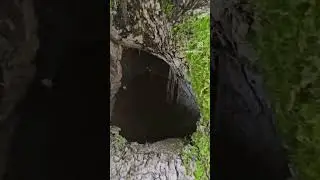 I sommer strømmer vi live fra eremittens hule!