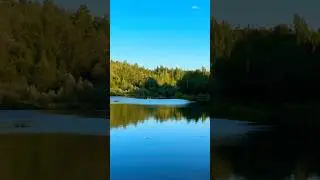 18 августа 2024 г.