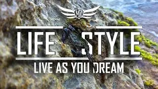 #LIFESTYLE | LIVE AS YOU DREAM | SAM KOLDER INSPIRED