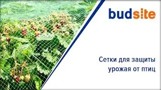 Сетки для защиты урожая от птиц