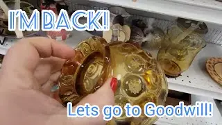 I'm back! Let's Go To Goodwill!