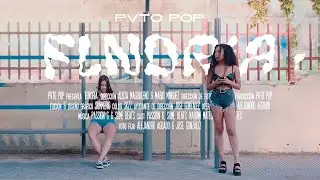 PVTO POP - FLNDRIA 🥡 (video)