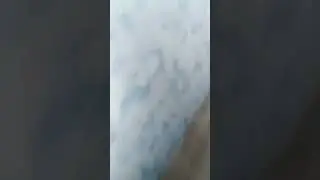 Как не опоздать в школу