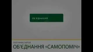Політична партія «Об'єднання Самопоміч» — Візьми і зроби!