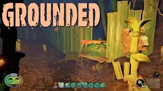 Grounded | First Look