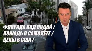 Внезапный потоп. Страшные кадры  из США  / Лошадь развернула самолёт / Цены в магазинах США