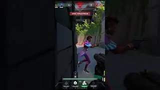 camper viper 