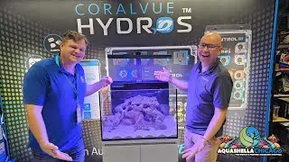 Aquashella Chicago 2024 Recap