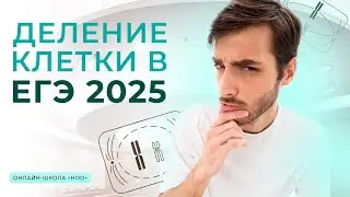 ПРАКТИКА ПО ДЕЛЕНИЮ КЛЕТКИ | ЕГЭ ПО БИОЛОГИИ | НОО