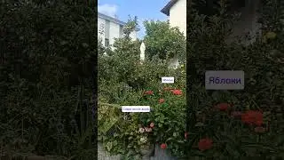 16.08.24г🌹Цапля!!! Садик у дома!!!😊