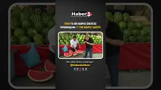 TOKAT'TA BİR KARPUZ ÜRETİCİSİ VATANDAŞLARA 17 TON KARPUZ DAĞITTI
