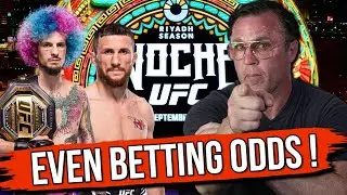 Who Wins This Fight? | O'Malley vs Dvalishvili