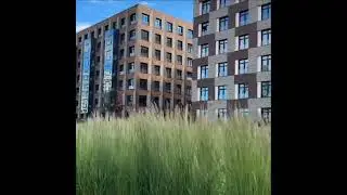 Квартиры в новых домах в Петроградском районе Петербурга.