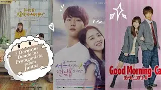 🙊✨Doramas donde los protagonistas viven juntos ✨🤭